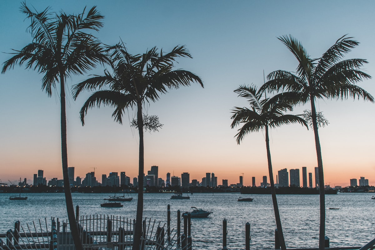 This Week in Tampa Bay: Baseball, Beer, and the Gulf at Its Best (April 7-13)