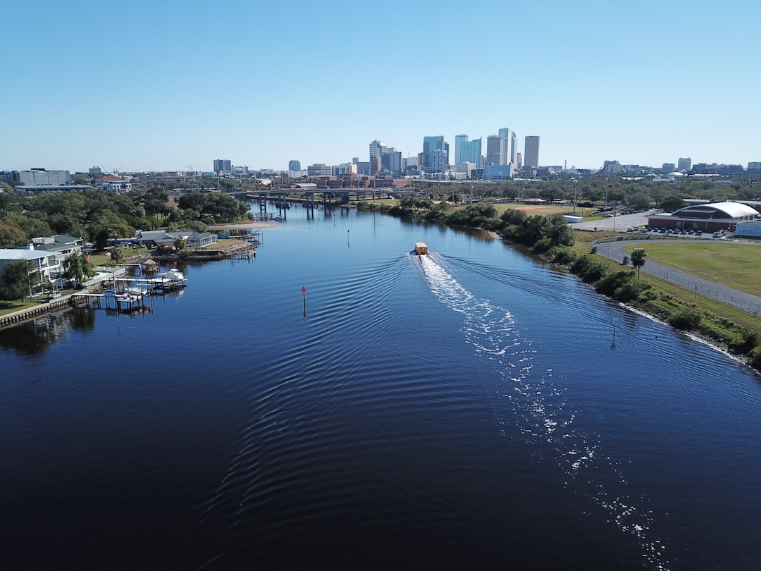 This Week in Tampa Bay: Italian Food, Sharkapalooza, and Pitbull's Homecoming (May 12–18)