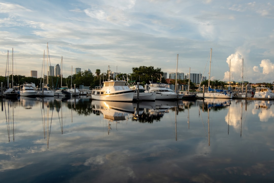 This Week in Tampa Bay: Scallop Fest, Tarpon Springs Art Festival, and Summer Markets (July 8–14)